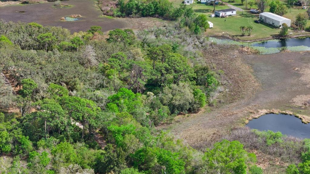 Indale Drive New Port Richey, FL 34654 - Photo 20 of 22