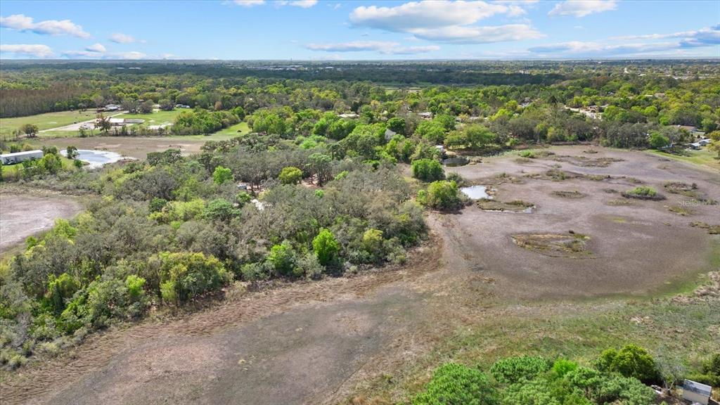 Indale Drive New Port Richey, FL 34654 - Photo 8 of 22