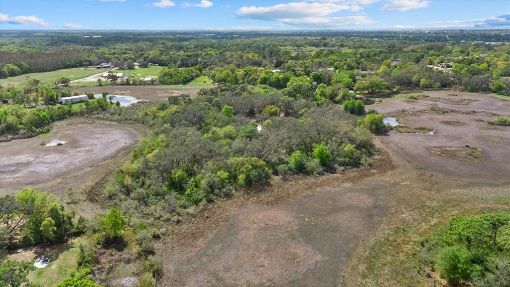 Indale Drive New Port Richey, FL 34654 - Photo 9 of 22