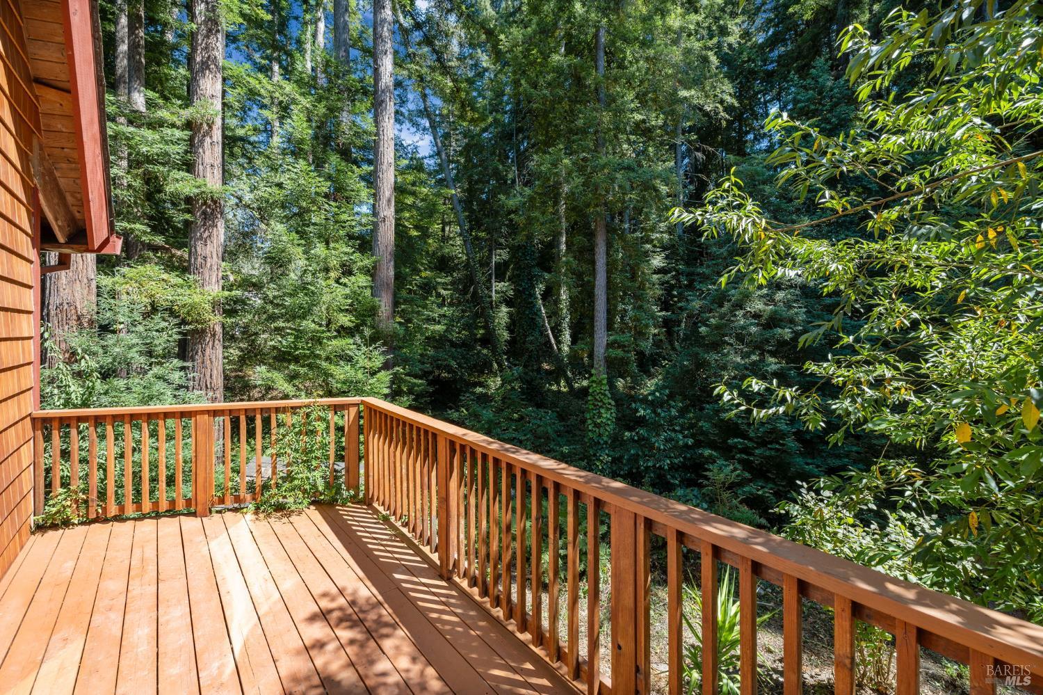 9935 Occidental Road Sebastopol, CA 95472 - Photo 28 of 59 There are also views of the year-round creek from the deck!