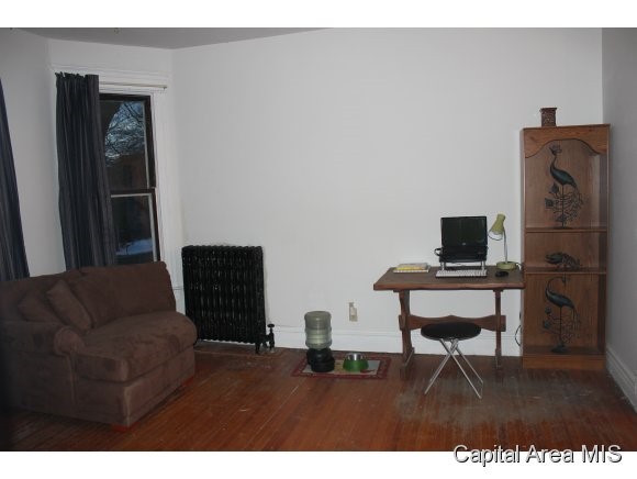 1017 North 1st Street Springfield, IL 62702 - Photo 6 of 20