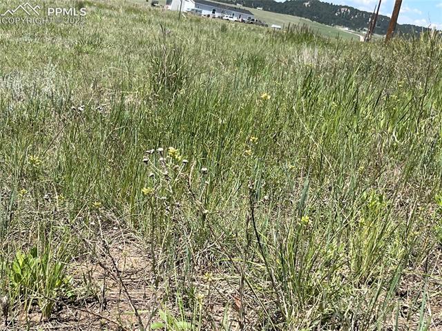 0 Sweet Road Peyton, CO 80831 - Photo 9 of 18 Gallery Image 9