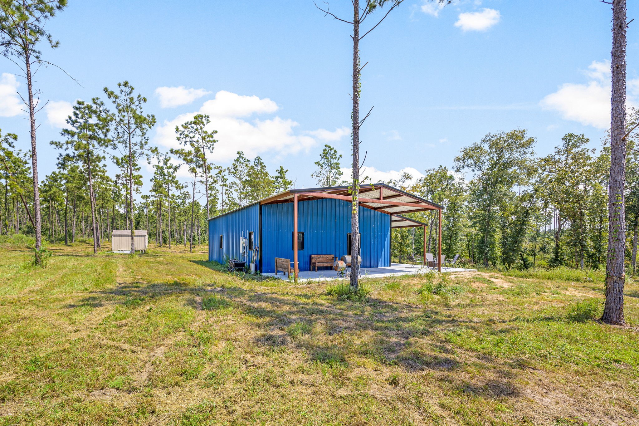 1100 Reveille Road Livingston, TX 77351 - Photo 5 of 20 a big yard with table and trees in the background