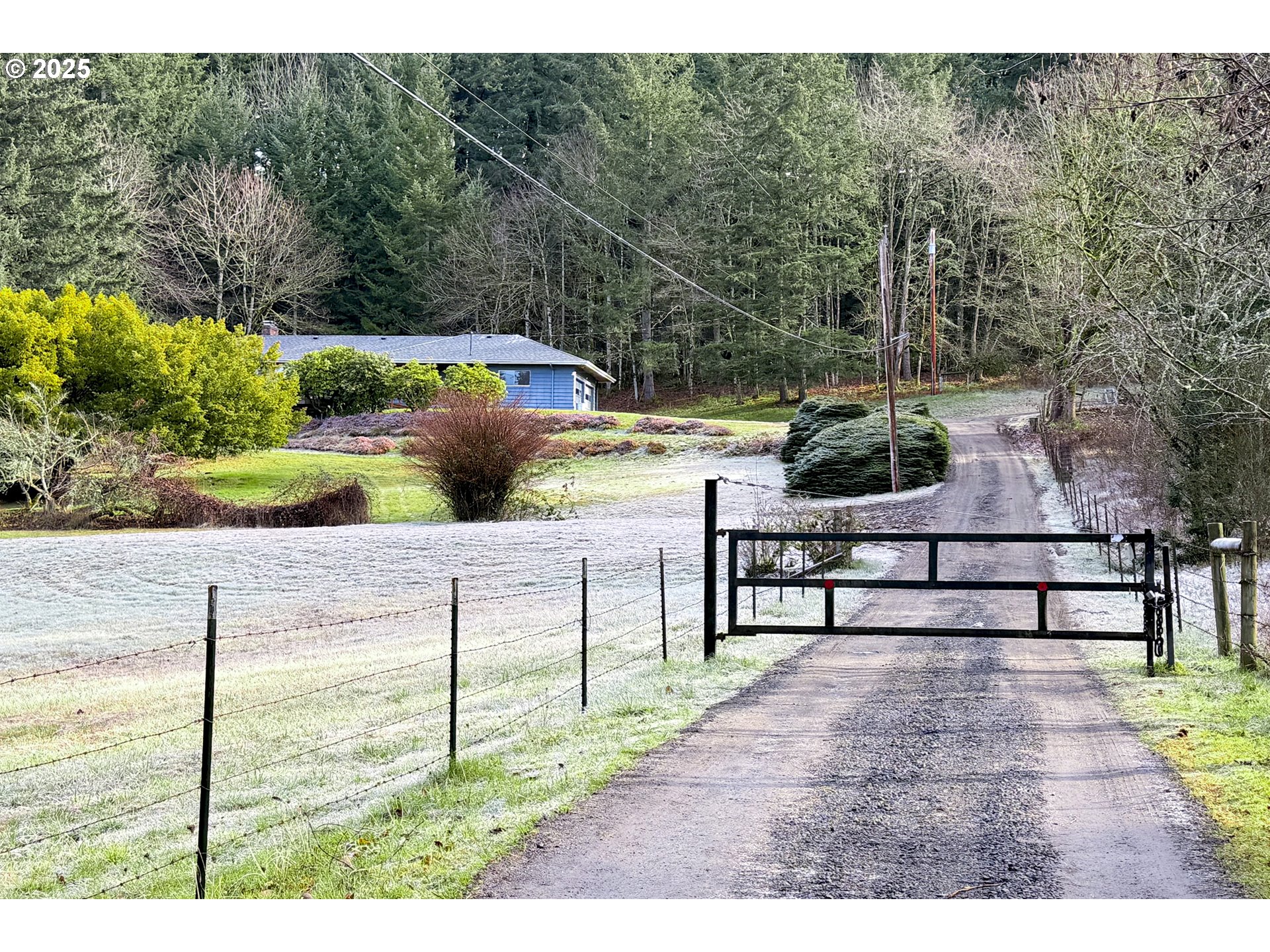 19955 Southeast Tillstrom Road Damascus, OR 97089 - Photo 8 of 47