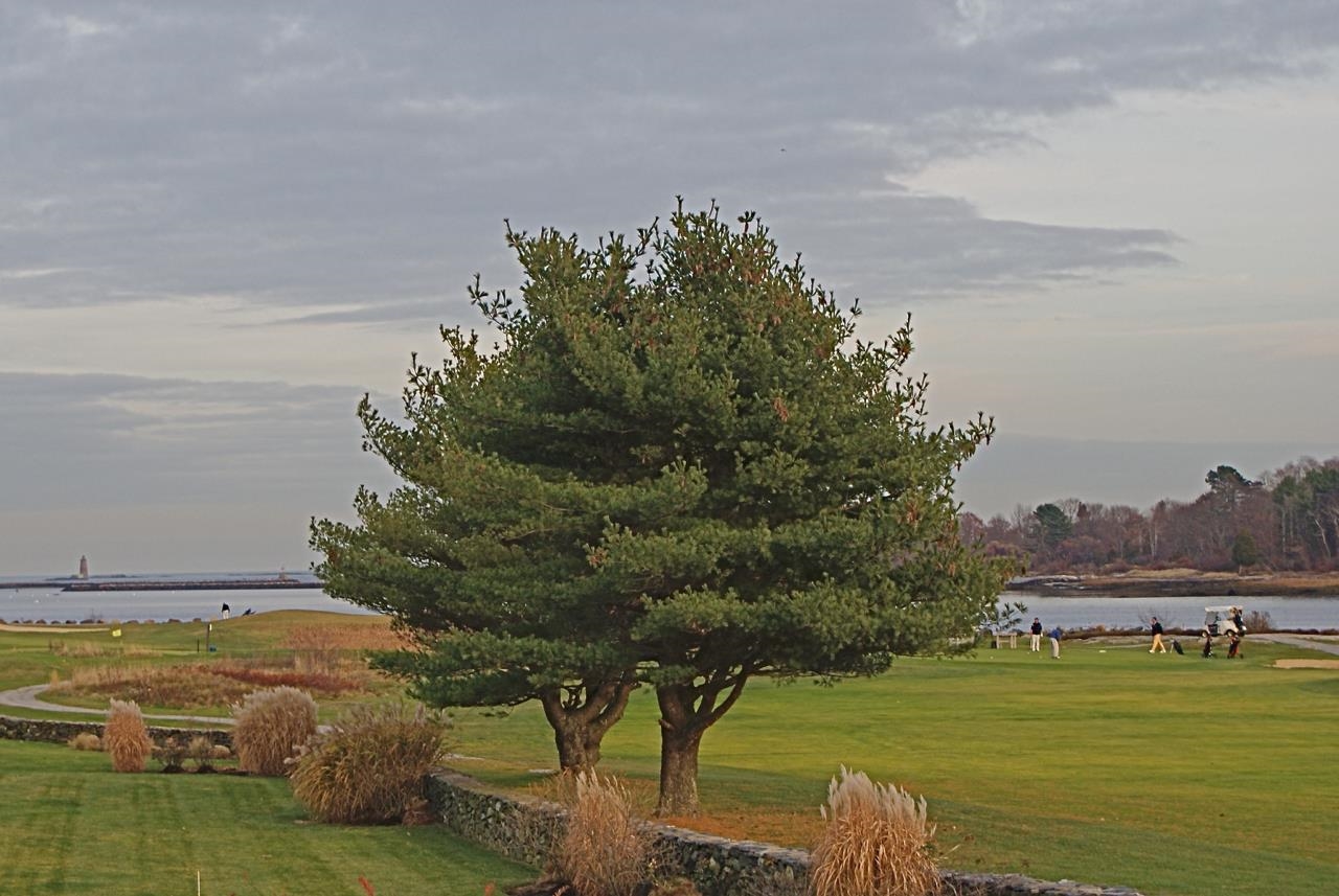 40 Harborview Drive Rye, NH 03870 - Photo 22 of 36