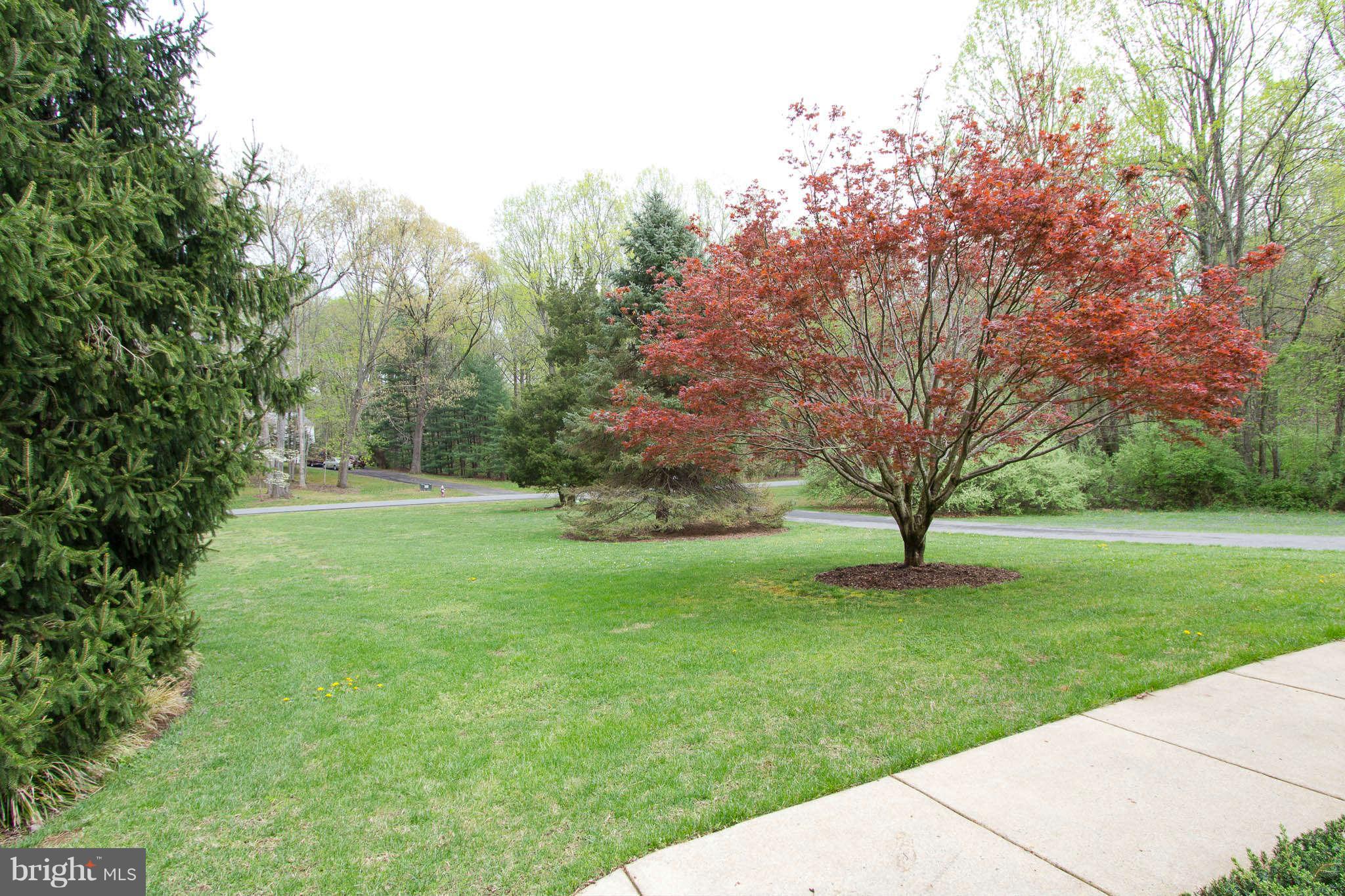 11905 Appling Valley Road Fairfax, VA 22030 - Photo 5 of 29 View