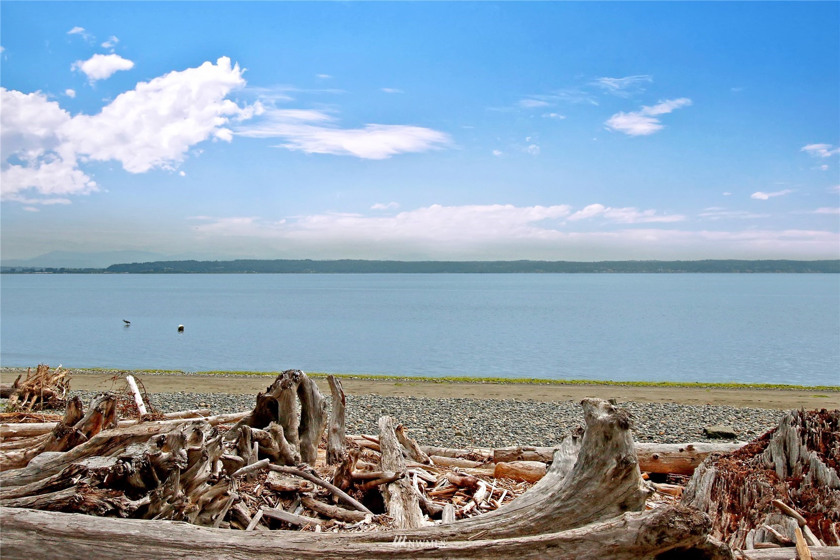 159 Iverson Road Camano Island, WA 98282 - Photo 9 of 32 Gallery Image 9