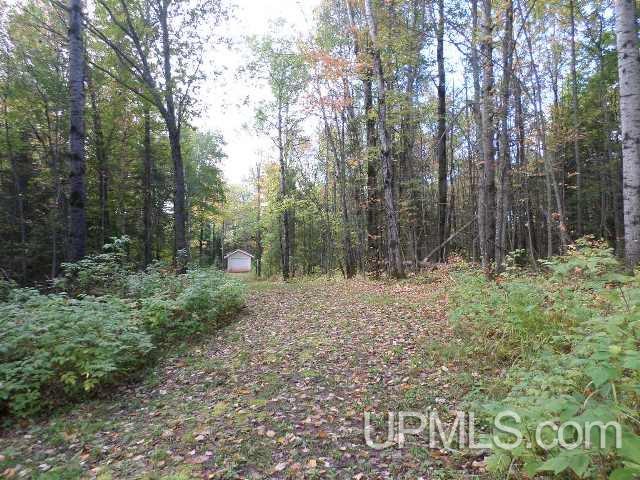 7333 West Harding Road Bessemer, MI 49911 - Photo 15 of 25 Gallery Image 15