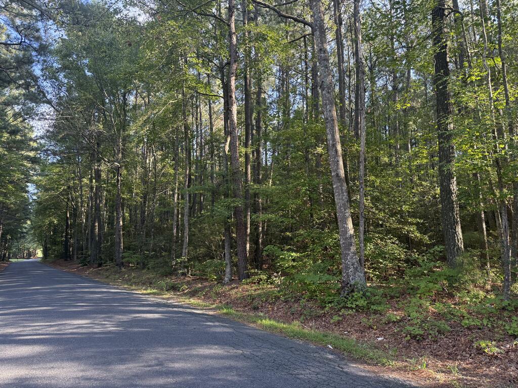 Lot 3 Race Track Road, Unit 3 Melfa, VA 23410 - Photo 3 of 5 Gallery Image 3