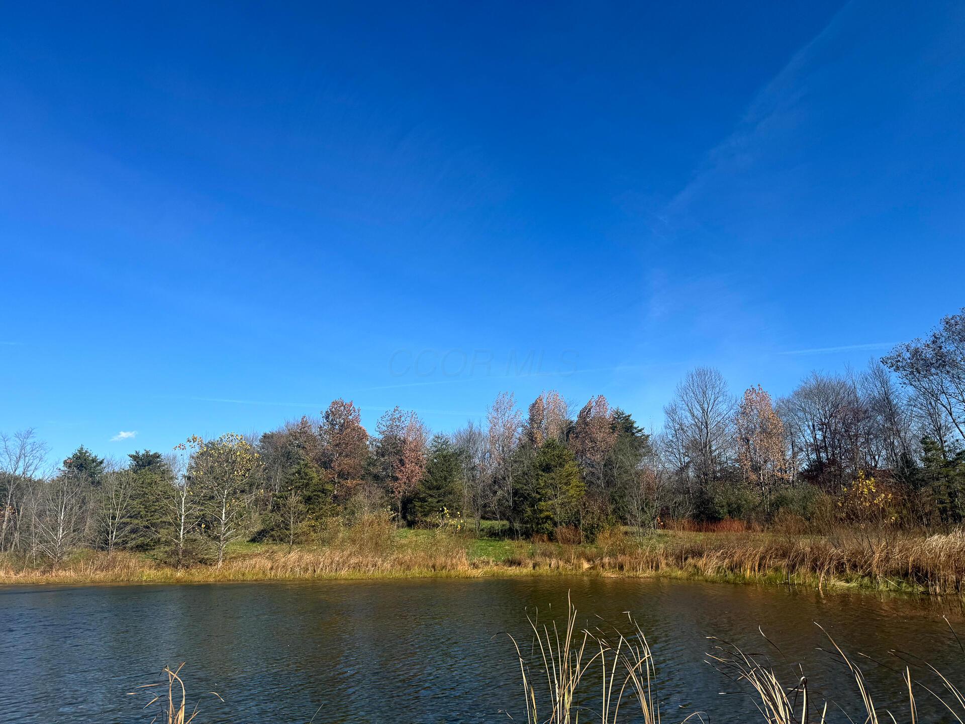 808 Nibert Road, Unit TRACT 5 PONDS POPLAR RIDGE) Gallipolis, OH 45631 - Photo 8 of 12 CT-8
