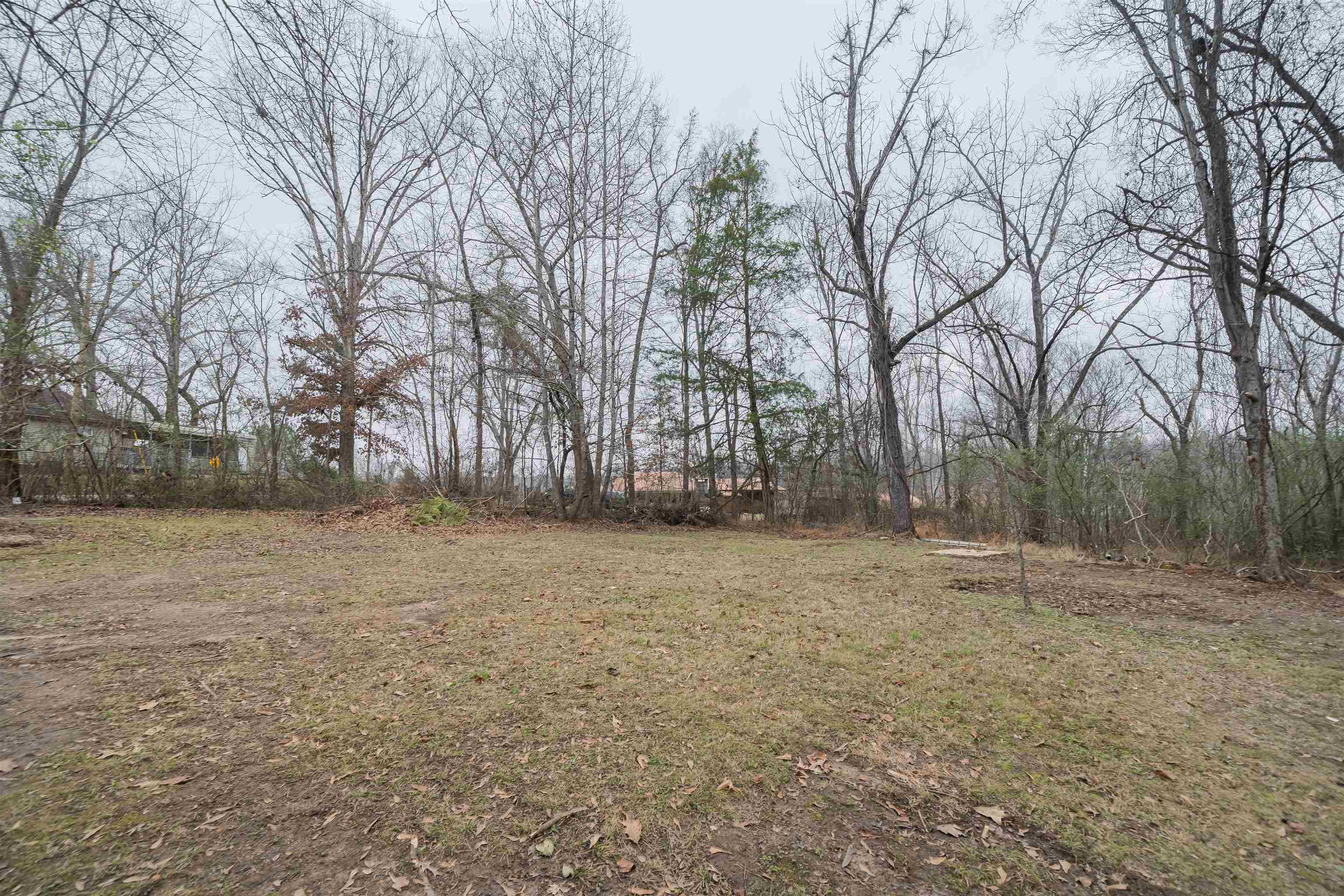 231 Adams Selmer, TN 38375 - Photo 12 of 24 a view of outdoor space with large trees