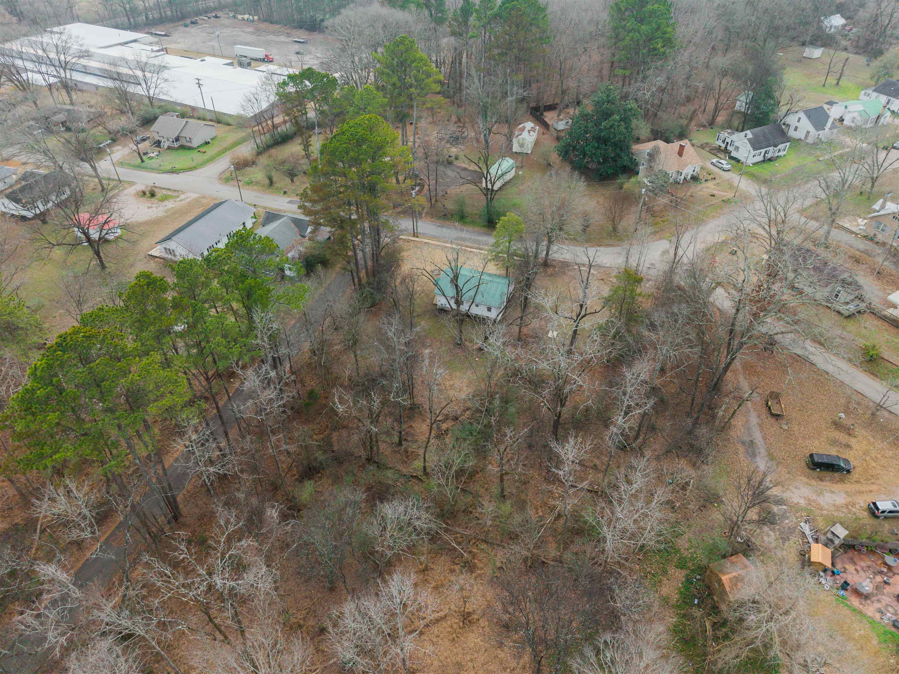 231 Adams Selmer, TN 38375 - Photo 12 of 24 a view of a yard with plants