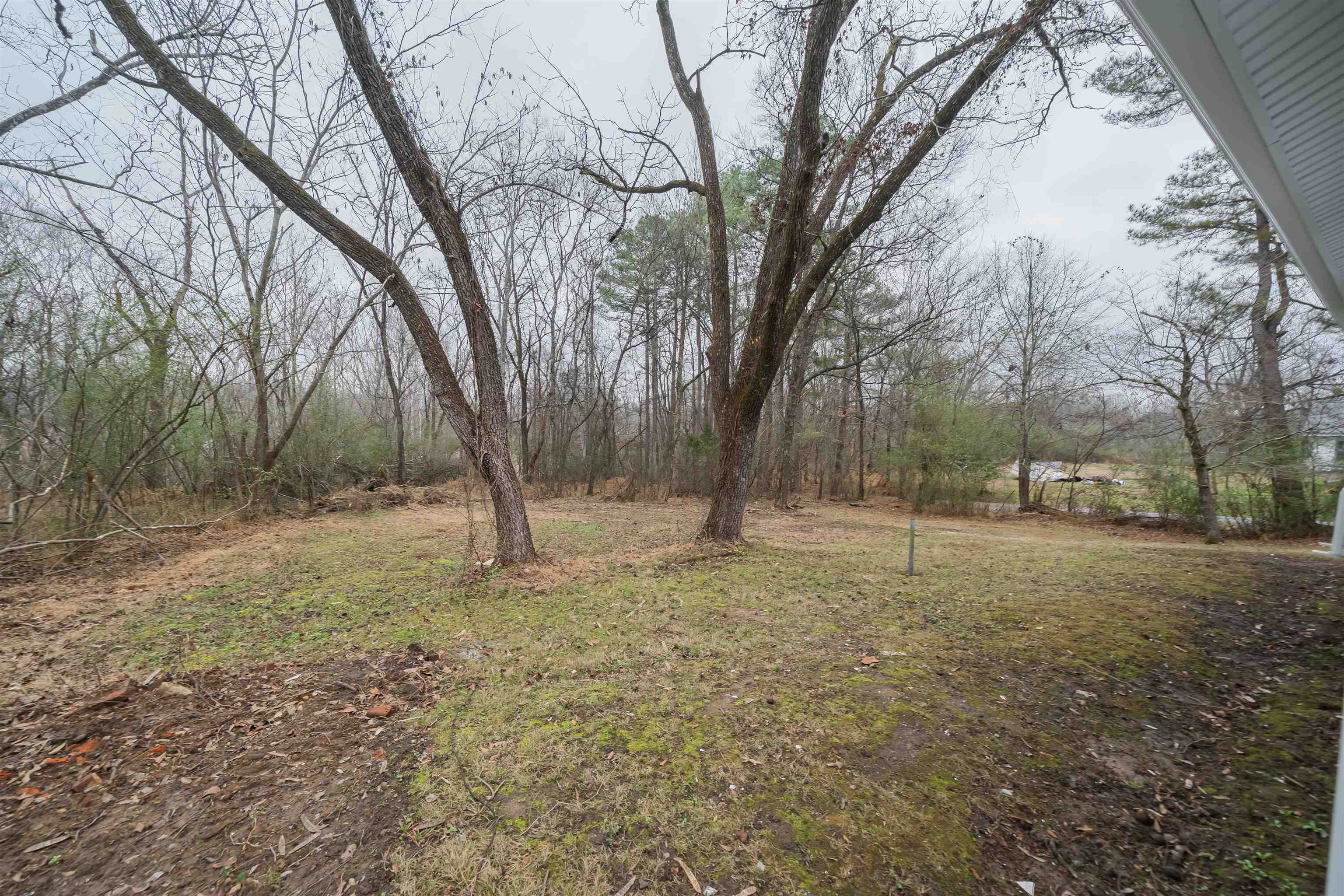 231 Adams Selmer, TN 38375 - Photo 13 of 24 a view of a yard with a tree