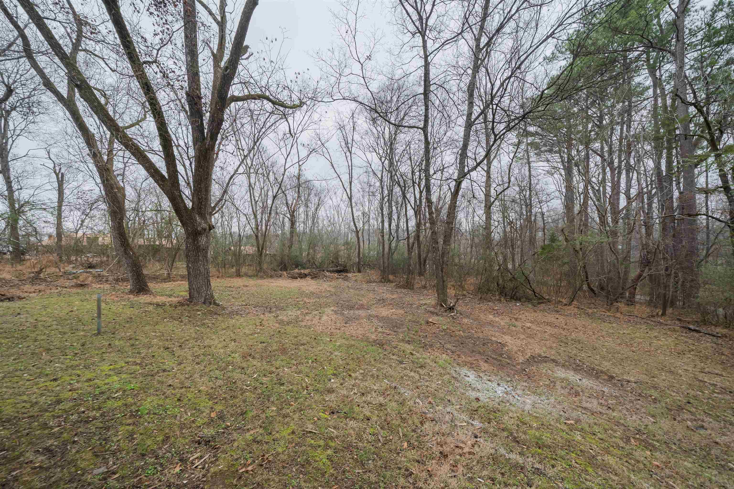 231 Adams Selmer, TN 38375 - Photo 7 of 24 a view of a yard with large trees