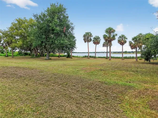 a view of field with trees
