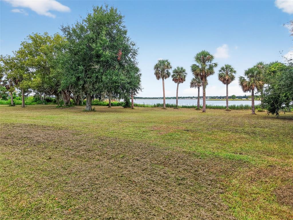 Amvets Way Mount Mount Dora, FL 32757 - Photo 4 of 15 a view of field with trees