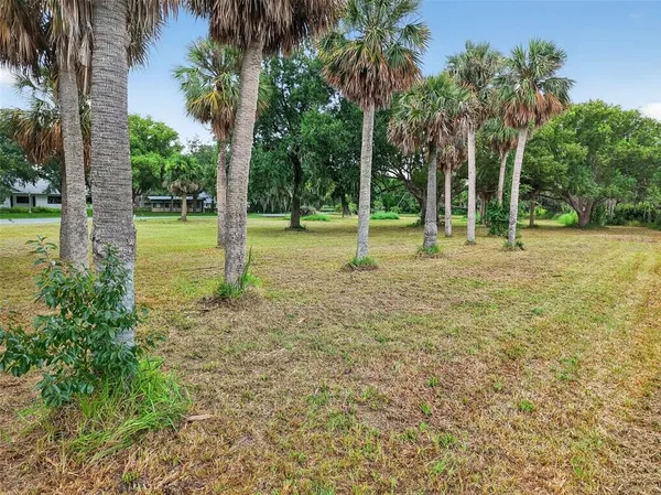 a view of a garden with a tree