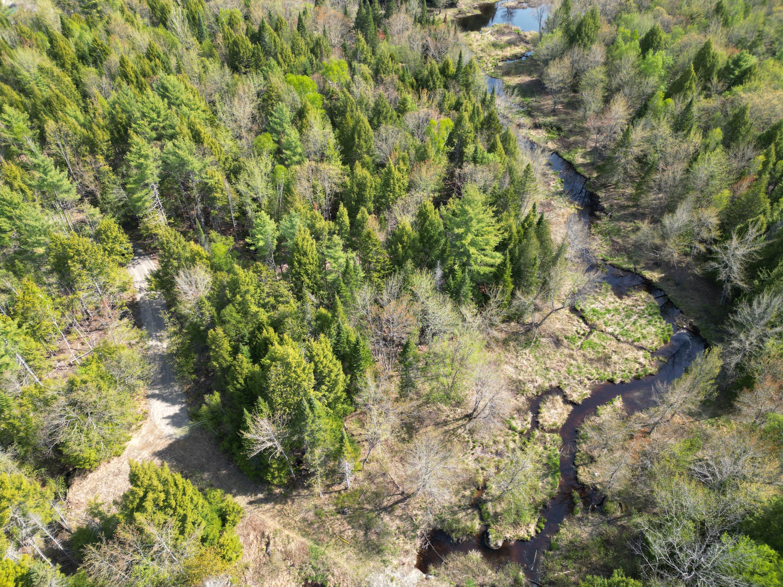 Lot 2 Off Mattamiscontis Road Howland, ME 04448 - Photo 14 of 16 DJI_0538