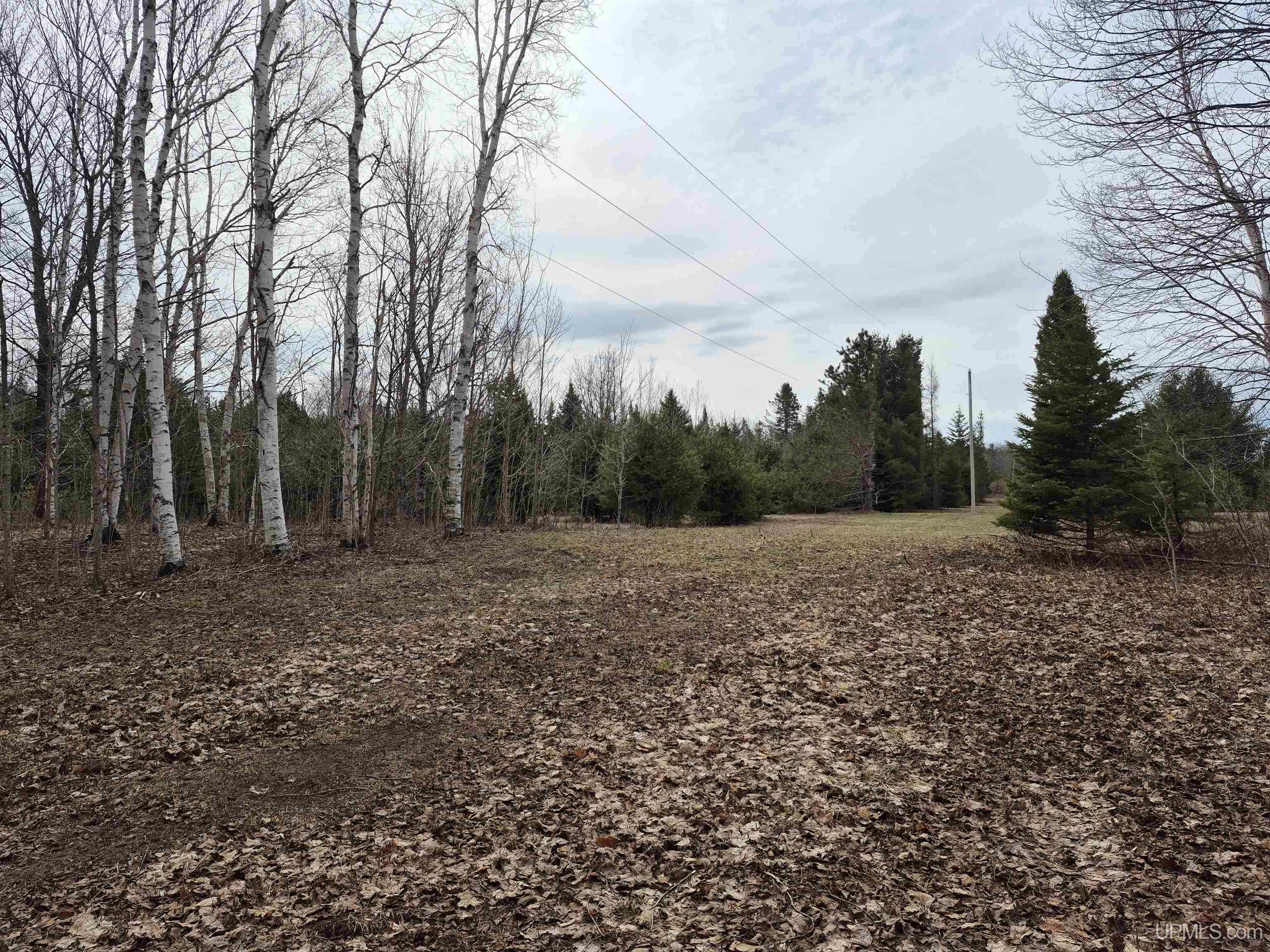 3754 Quarry Road Gulliver, MI 49840 - Photo 52 of 77