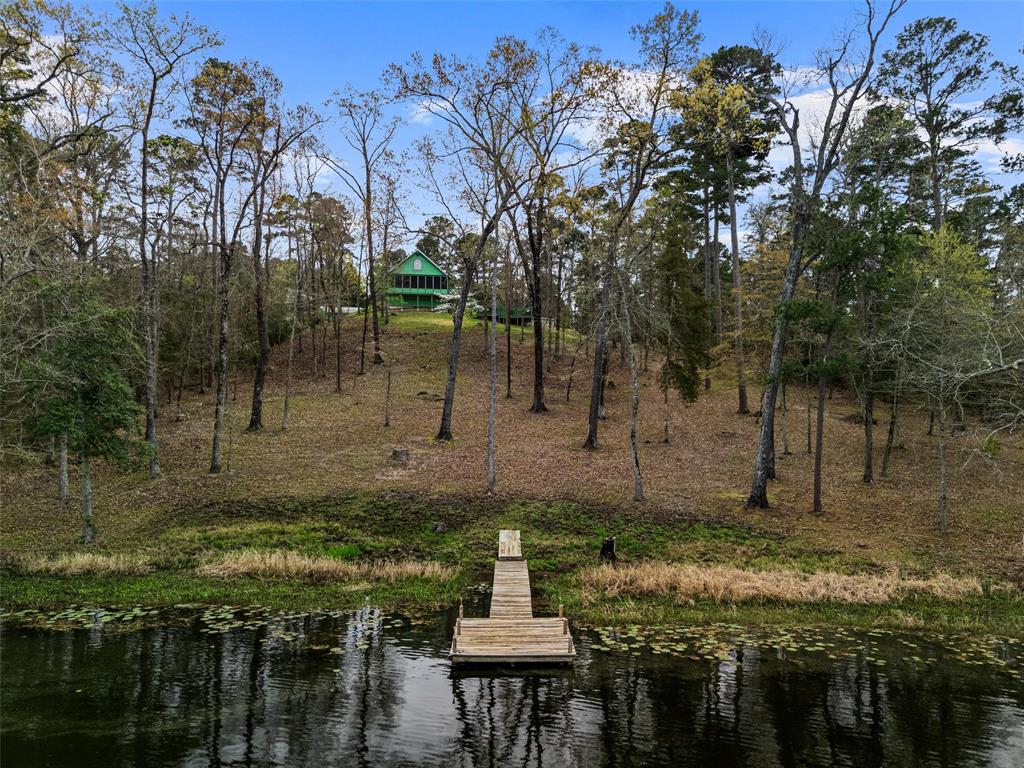 5066 Bob O Link Road Gilmer, TX 75645 - Photo 24 of 30 a backyard of a house with lots of green space