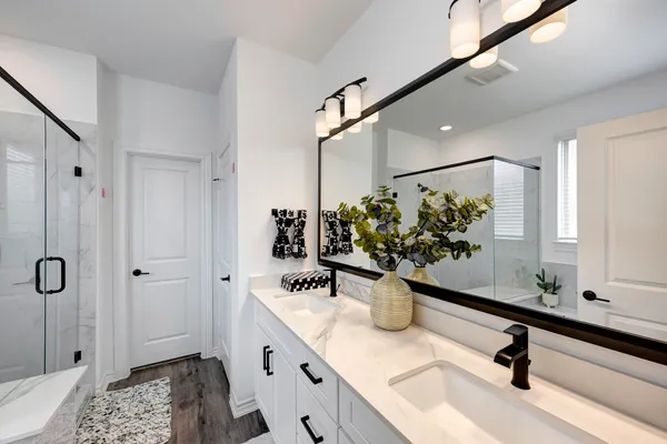 a bathroom with a sink double vanity and a potted plant