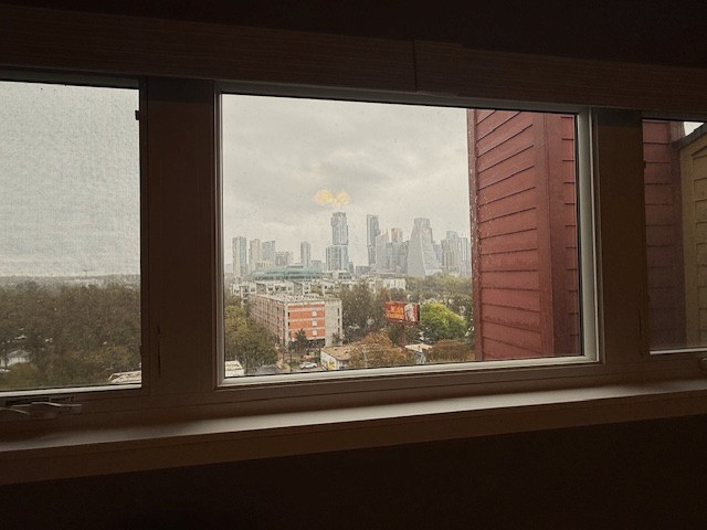 1501 Barton Springs Road, Unit 231 Austin, TX 78704 - Photo 20 of 23 Detailed view of city skyline