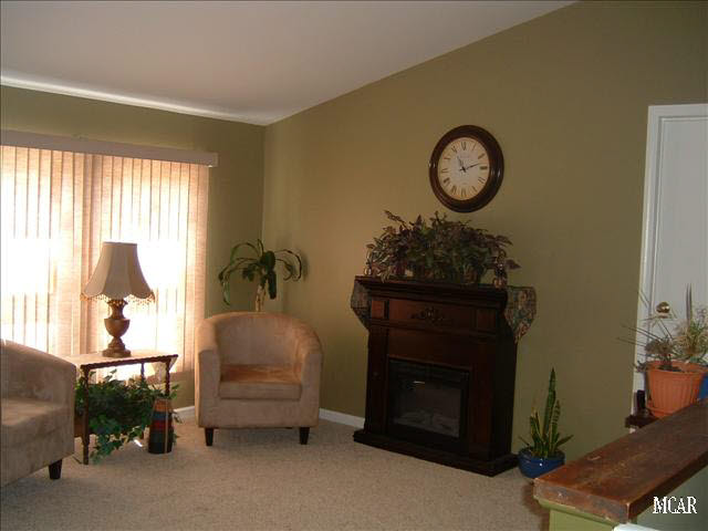 9835 Ferder Road Maybee, MI 48159 - Photo 2 of 20 Living room