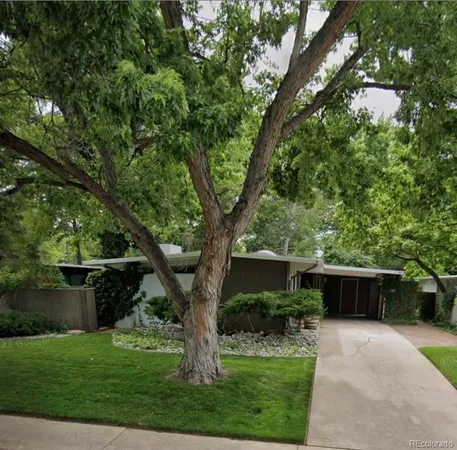 a view of a garden with a tree