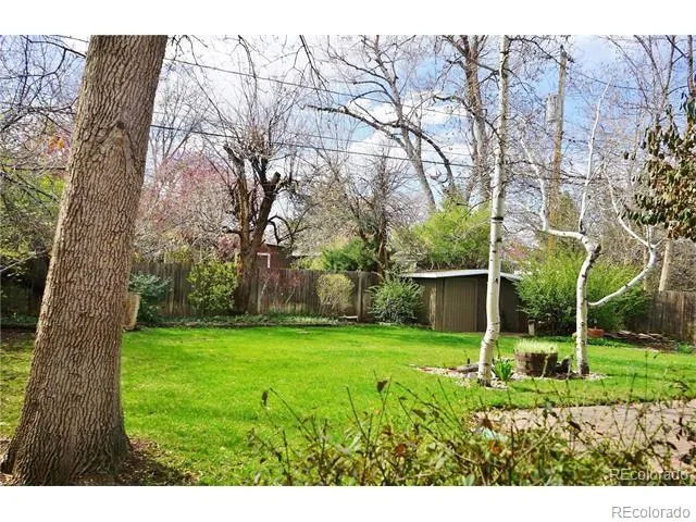 a view of a backyard with large trees