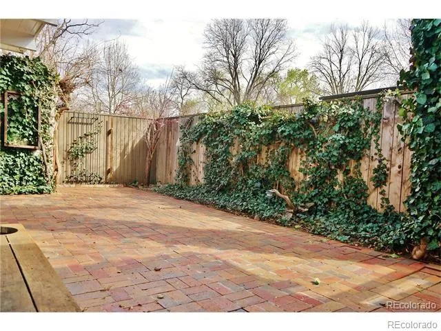 a view of a yard with plants and trees