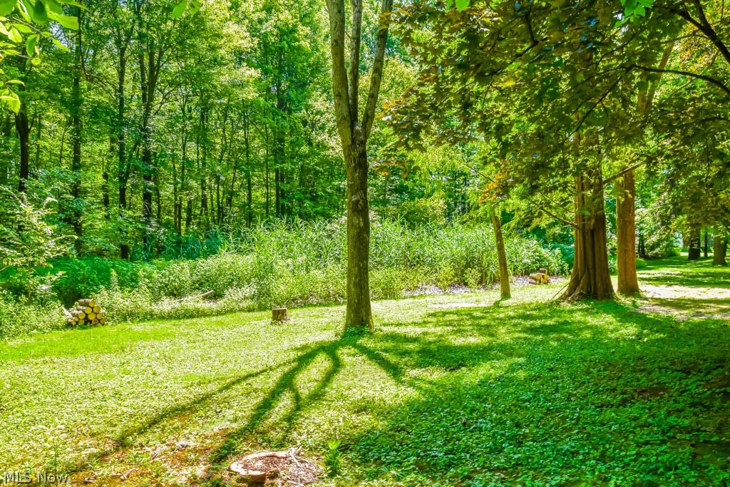 3754 Boydell Road Kent, OH 44240 - Photo 19 of 23 Private backyard.