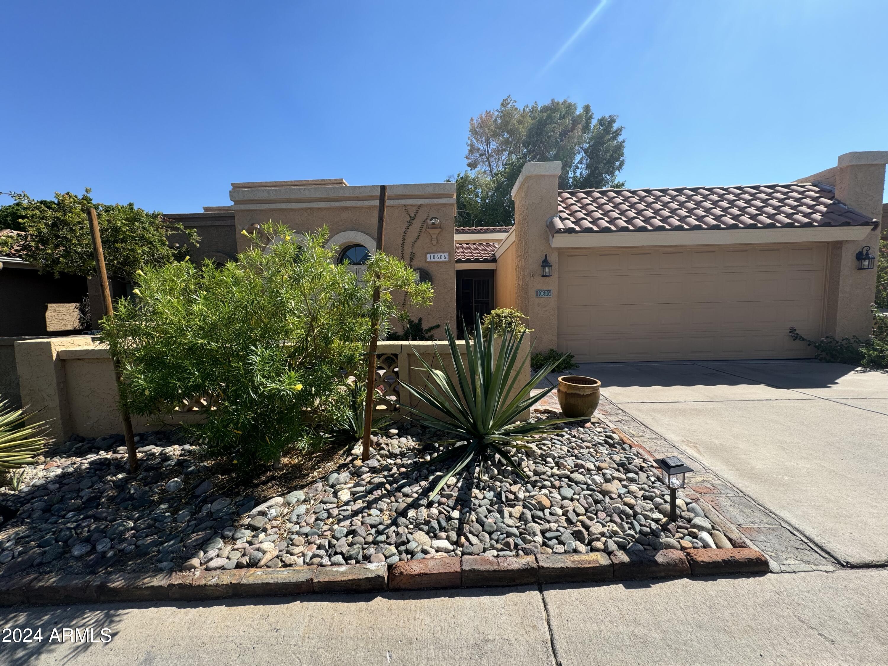 10606 North 8th Street Phoenix, AZ 85020 - Photo 1 of 25 a view of a backyard with plants