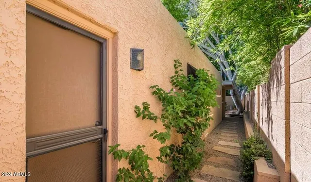 a couple of flower plants in front of door