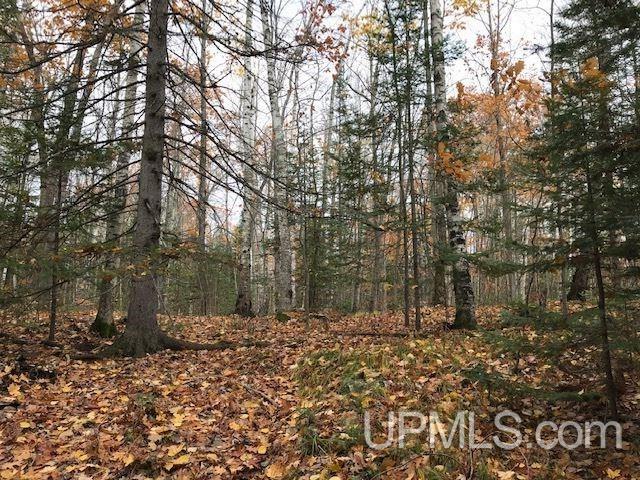 T-wi Wi 54121 Road Florence, WI 54121 - Photo 11 of 14
