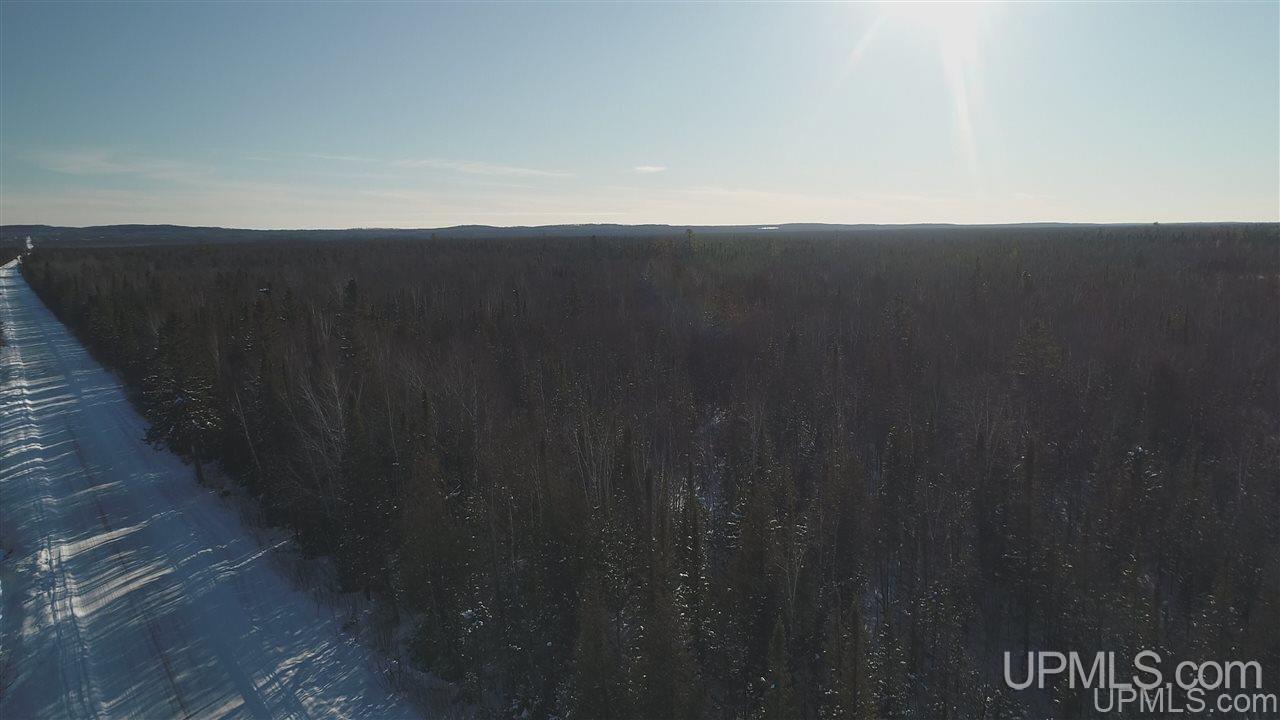 80-acres Co Rd N415 McMillan, MI 49853 - Photo 12 of 36