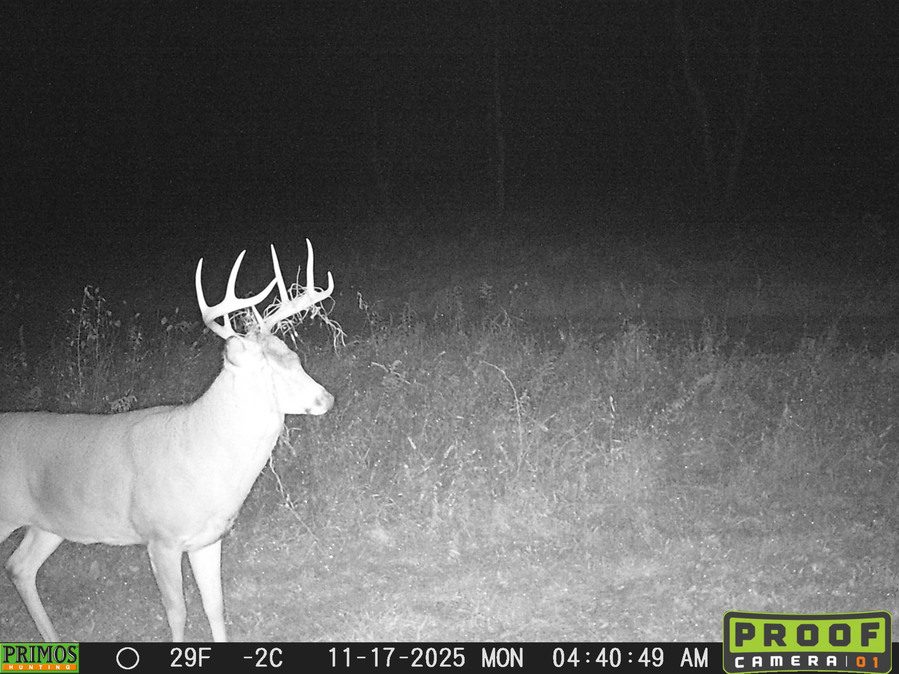 Vl Burlington Road Marcellus, MI 49067 - Photo 40 of 42 3