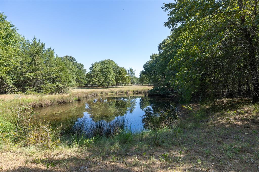 Tbd Richards Road Sadler, TX 76264 - Photo 3 of 12 Pond 1