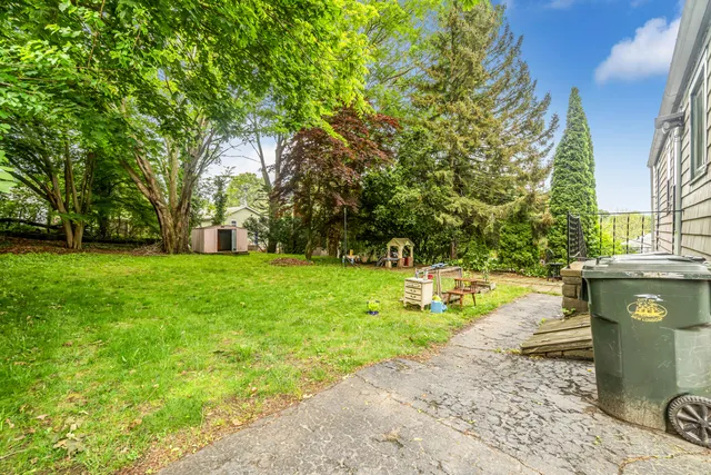 a view of a backyard with large trees
