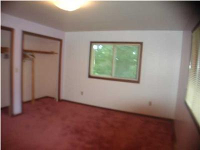 6669 Yerge Road Portland, MI 48875 - Photo 20 of 24 Additional Photo