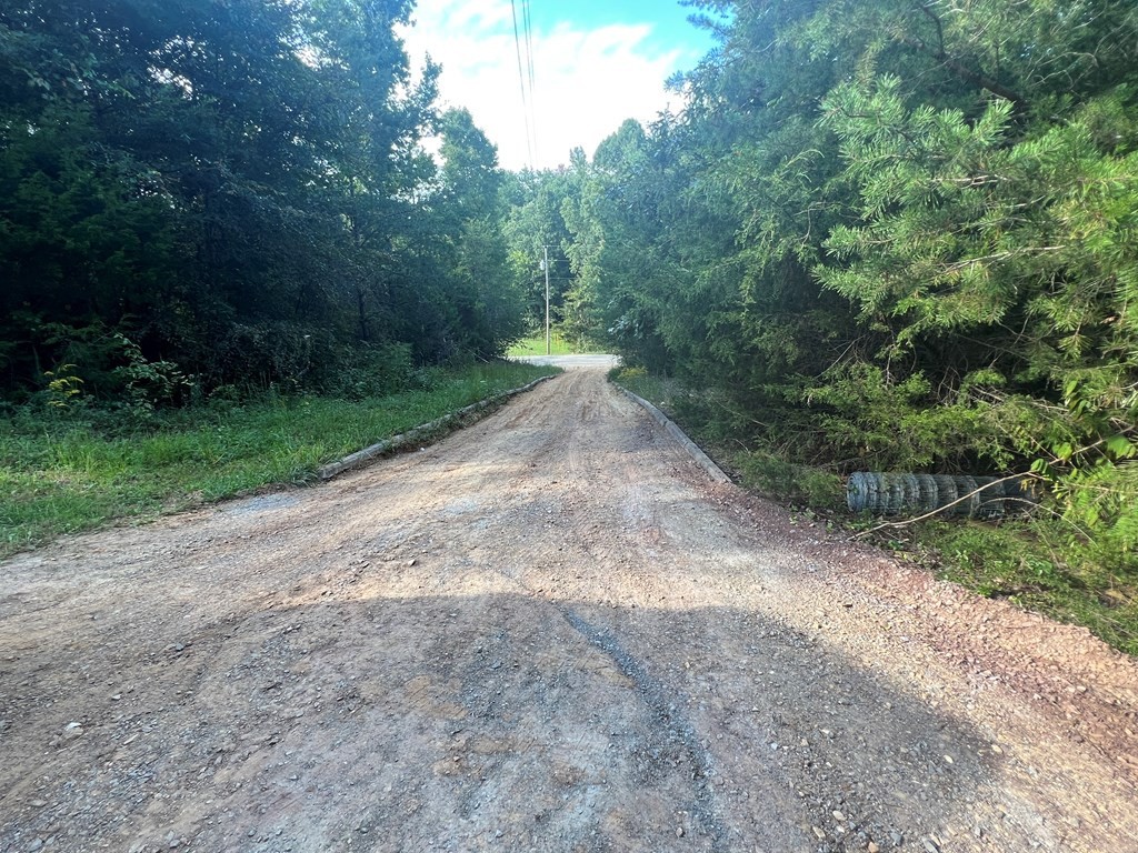 1758 Wasson Road Ten Mile, TN 37880 - Photo 13 of 16 Gallery Image 13