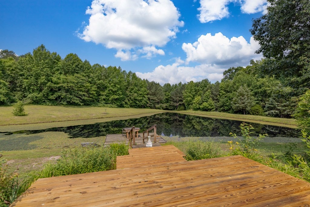 3883 Laurel Branch Road Kenbridge, VA 23944 - Photo 18 of 30 Gallery Image 18