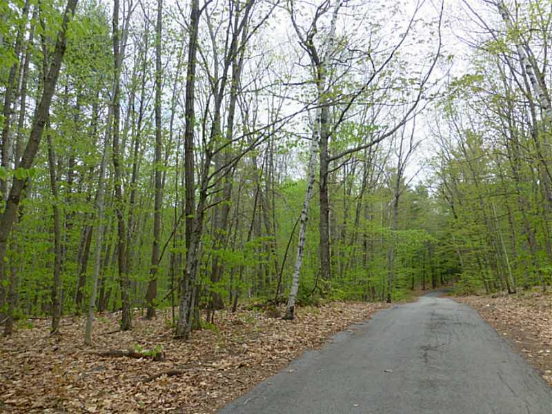 0 Ham's Camp Road Acton, ME 04001 - Photo 2 of 11 Land. Back lot