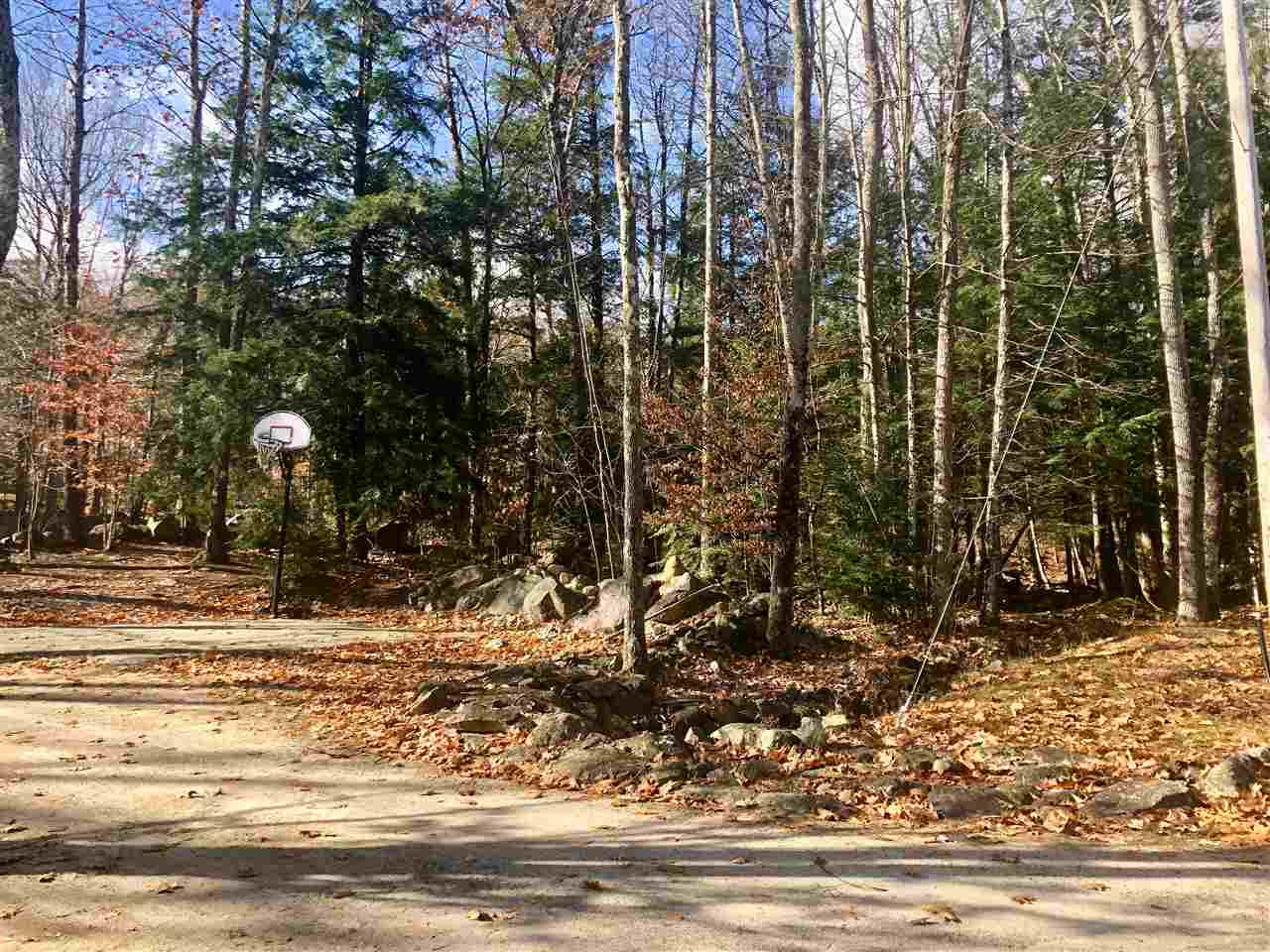 86 Alton Mountain Road Alton, NH 03810 - Photo 3 of 40 Gallery Image 3