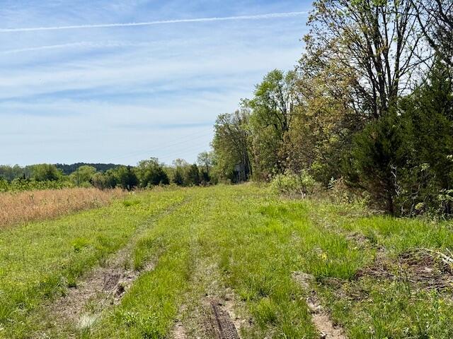 4515 Wallen Road Summersville, MO 65571 - Photo 35 of 74 IMG_5415