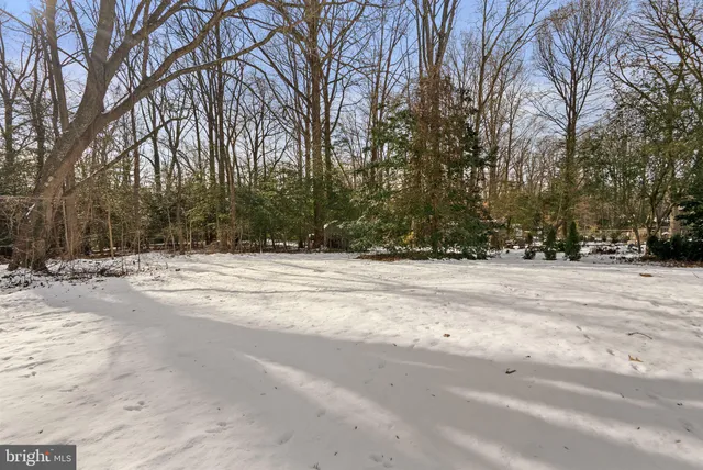 a view of outdoor space yard and trees