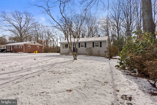a backyard of a house with large trees and covered with snow