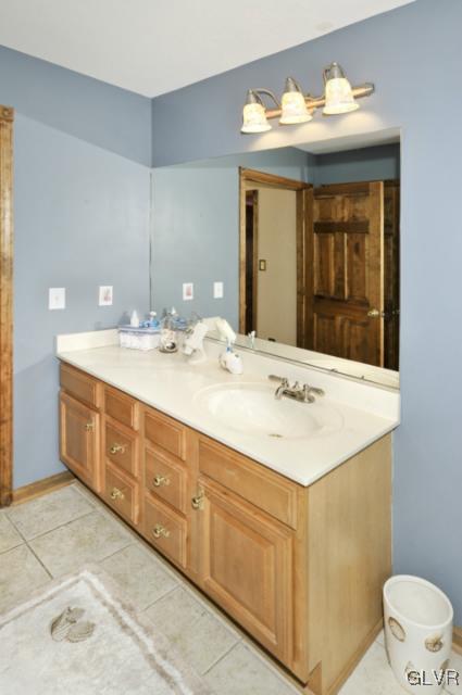 389 Winter Springs Road Nazareth, PA 18064 - Photo 32 of 37 a bathroom with a sink and a mirror