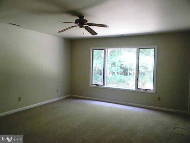 31196 Carioca Road Delmar, MD 21875 - Photo 11 of 21 Gallery Image 11