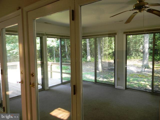 31196 Carioca Road Delmar, MD 21875 - Photo 15 of 21 Gallery Image 15