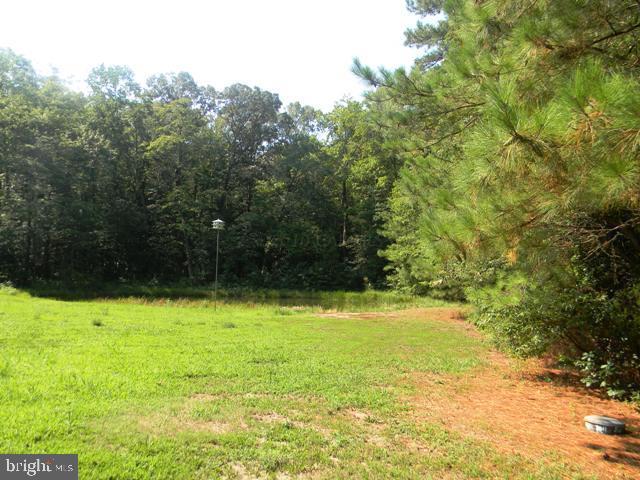 31196 Carioca Road Delmar, MD 21875 - Photo 18 of 21 Gallery Image 18